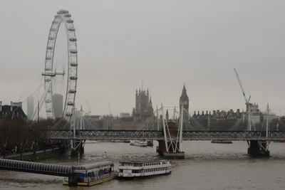 DSC_5821 (Large).JPG